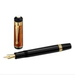 Mont Blanc 28662 Friedrich Schiller Stilografica (F)