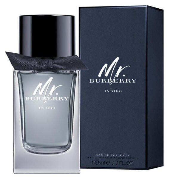 Burberry - Mr. Burberry Indigo EDT uomo